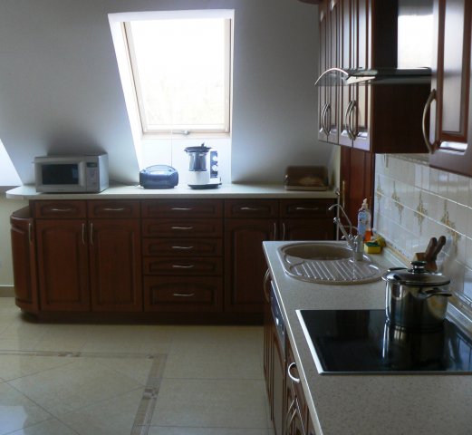 p1000787